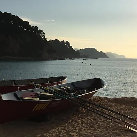 Hotel Evenia Olympic Garden Lloret de Mar
