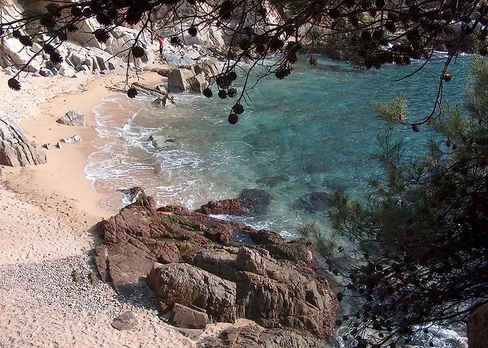 埃文尼亚奥林匹克花园酒店