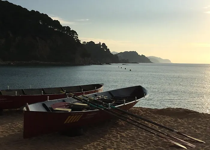 酒店 埃文尼亚奥林匹克花园酒店 滨海略雷特