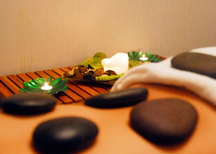 埃文尼亚奥林匹克花园酒店 酒店 4*