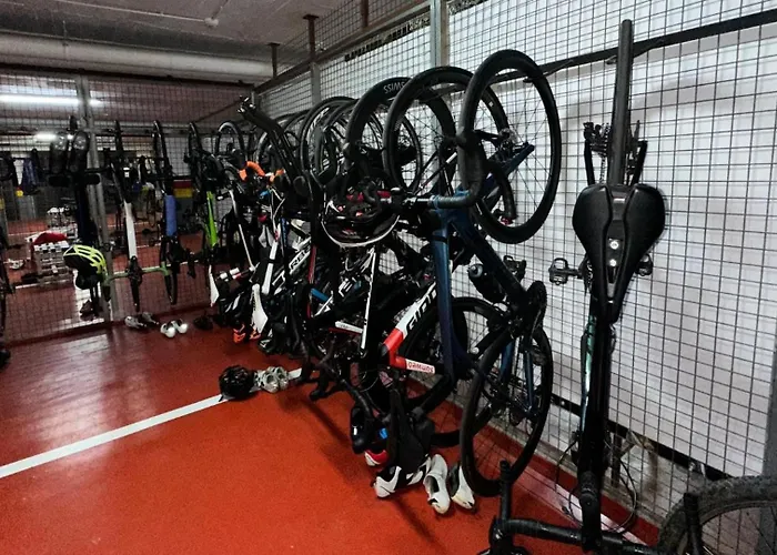 埃文尼亚奥林匹克花园酒店